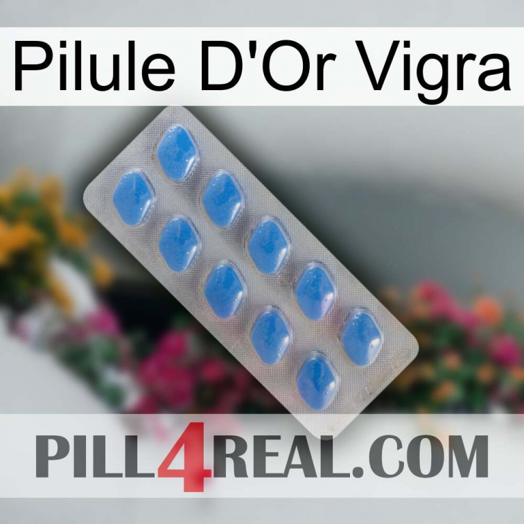 Vigra Gold Pill 22